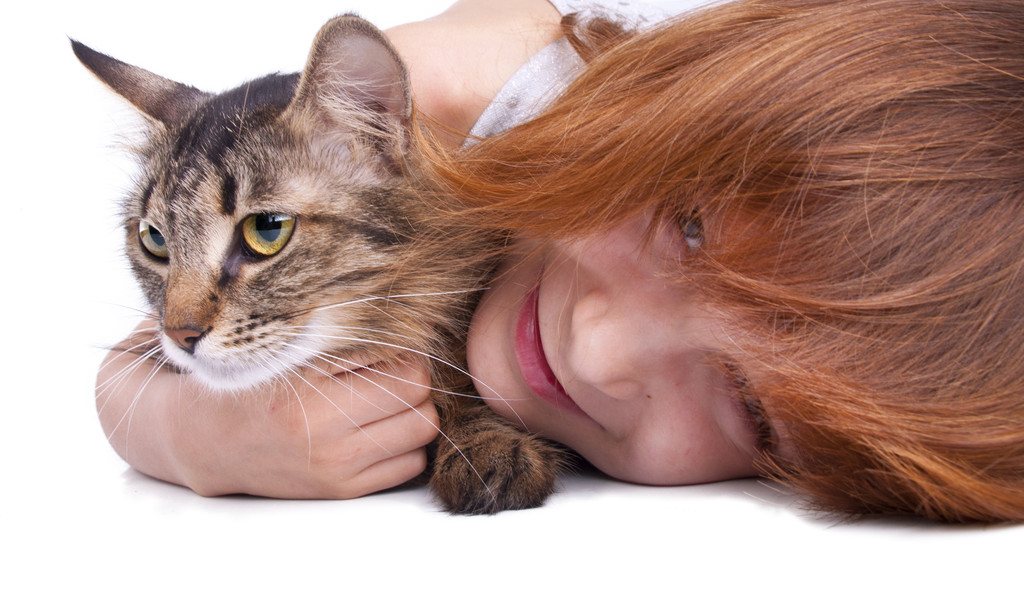 风水堂：梦见抱猫是什么意思